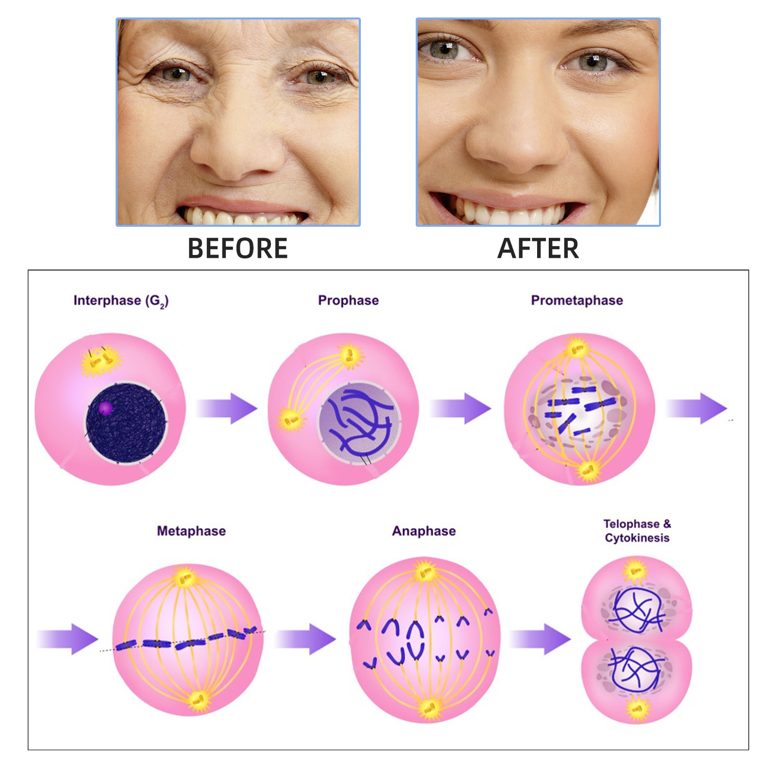 Serum Wajah asam hialuronat, 2 - Hyaluronic Acid Facial Serum ulasan dan harga